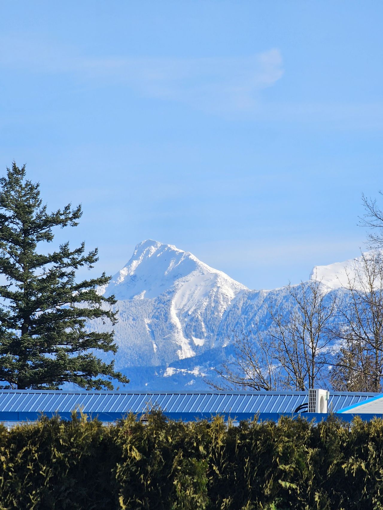 Abbotsford digital marketing agency - Smart Marketing First, Fraser Valley