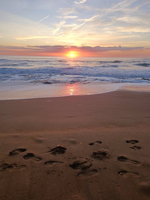 Photos gratuites de côte, coucher de soleil, empreintes de pas