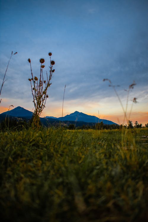 暗い雲の下の山々の眺め