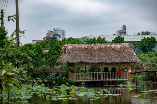Free A tranquil lakeside hut amidst lush greenery with cityscape in the background. Stock Photo
