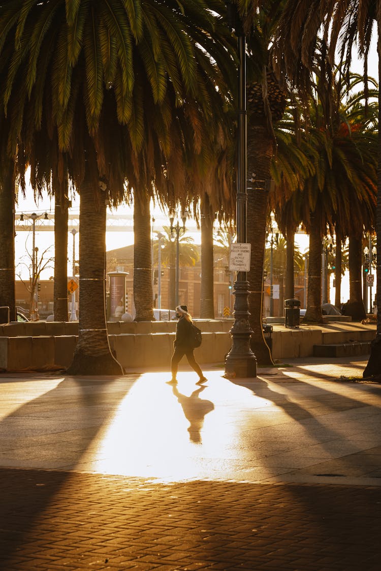 Woman Walking In Sun On A Sidewalk