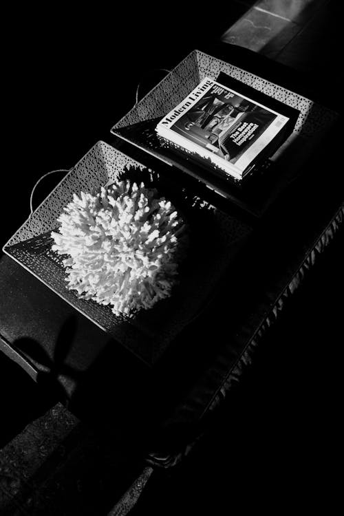 Black and White Photo of Baskets with a Book and Flower