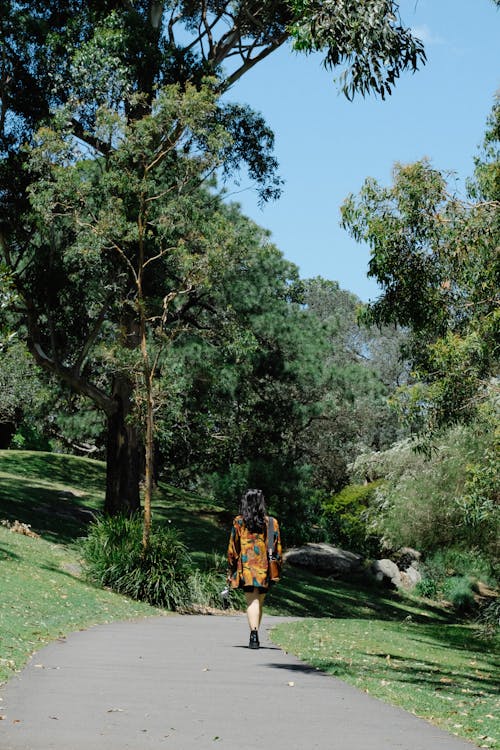 Back View of a Woman Walking in a Park 