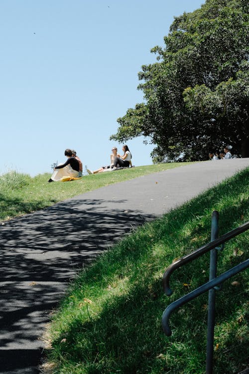 View of People Sitting in a Park on a Hill 