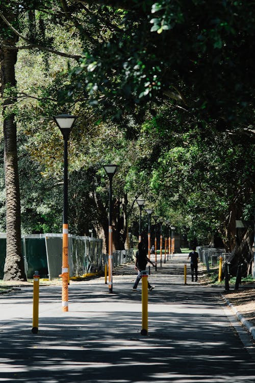 View of People Walking in a Park in City 