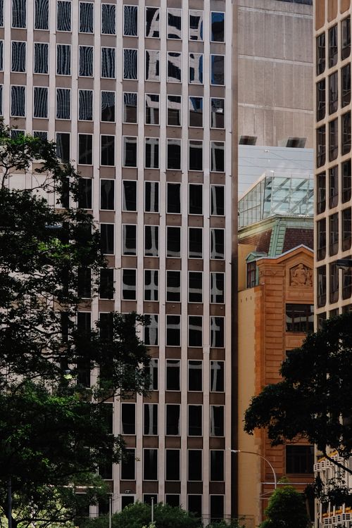 Free Contemporary skyscrapers with lush greenery in downtown Sydney, Australia. Stock Photo