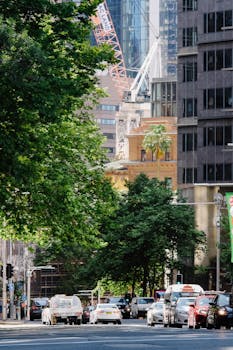 Busy urban street in Sydney featuring cars and lush greenery on a sunny day.