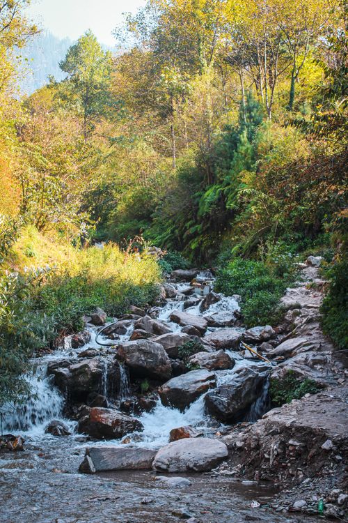 Free A serene stream cascades over rocks in a lush, sunlit forest setting, perfect for nature inspiration. Stock Photo