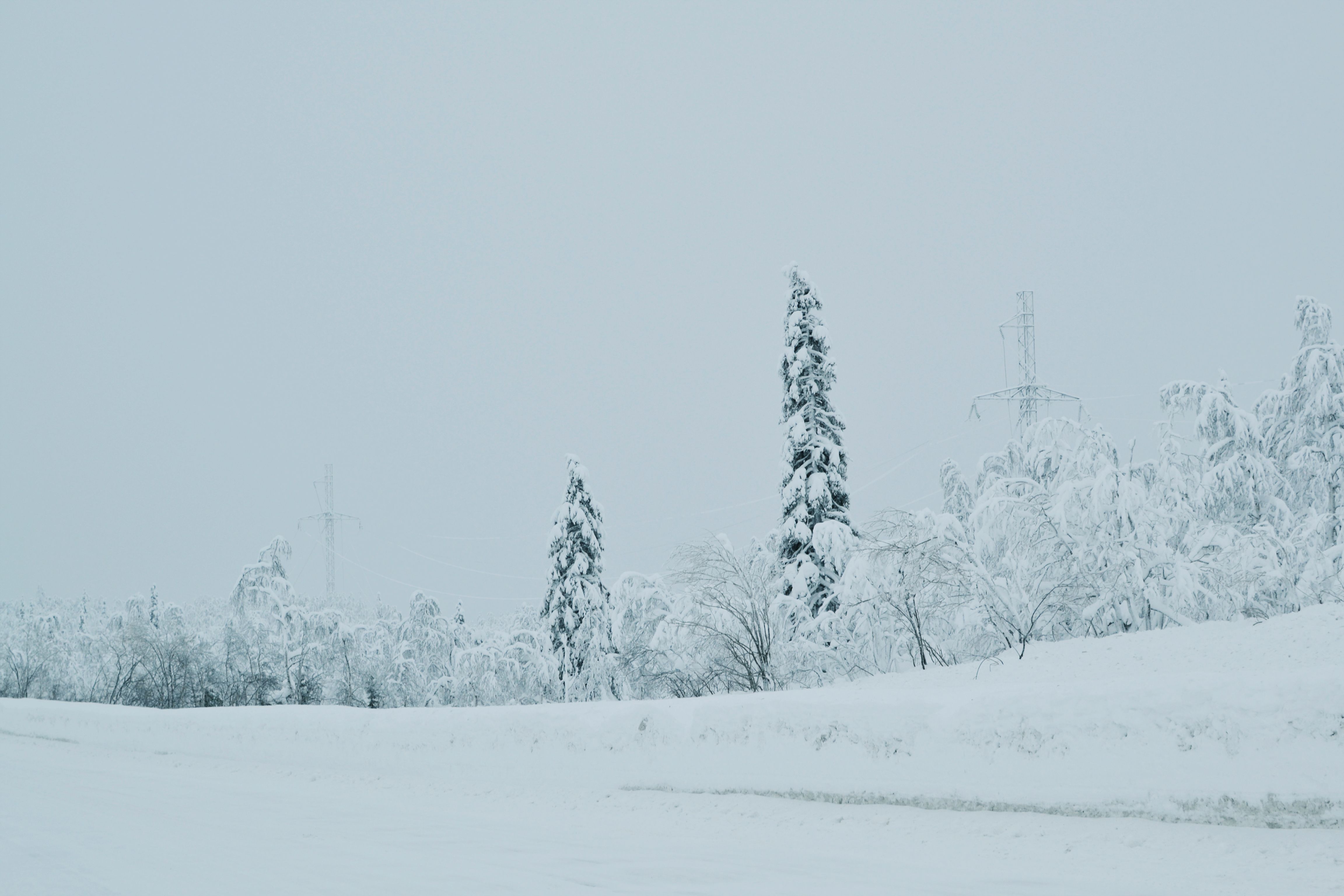 DEWALT DXAEPS14-Type2 vs DEWALT DXAEJ14-Type3: Which Jump Starter Power Station Suits a Canadian Winter Roadside Call