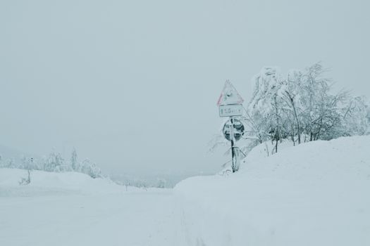 A snowy road during winter with snow-laden trees and a road sign.