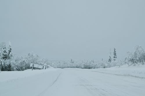 Overcast and Fog over Road in Snow 