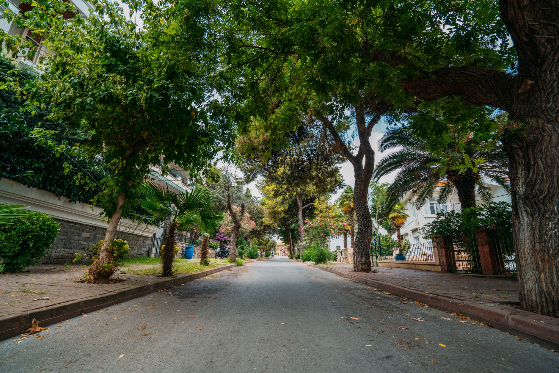 Is Pasadena Good for Families? Schools, Safety, and Community Is Pasadena Good for Families? Schools, Safety, and Community