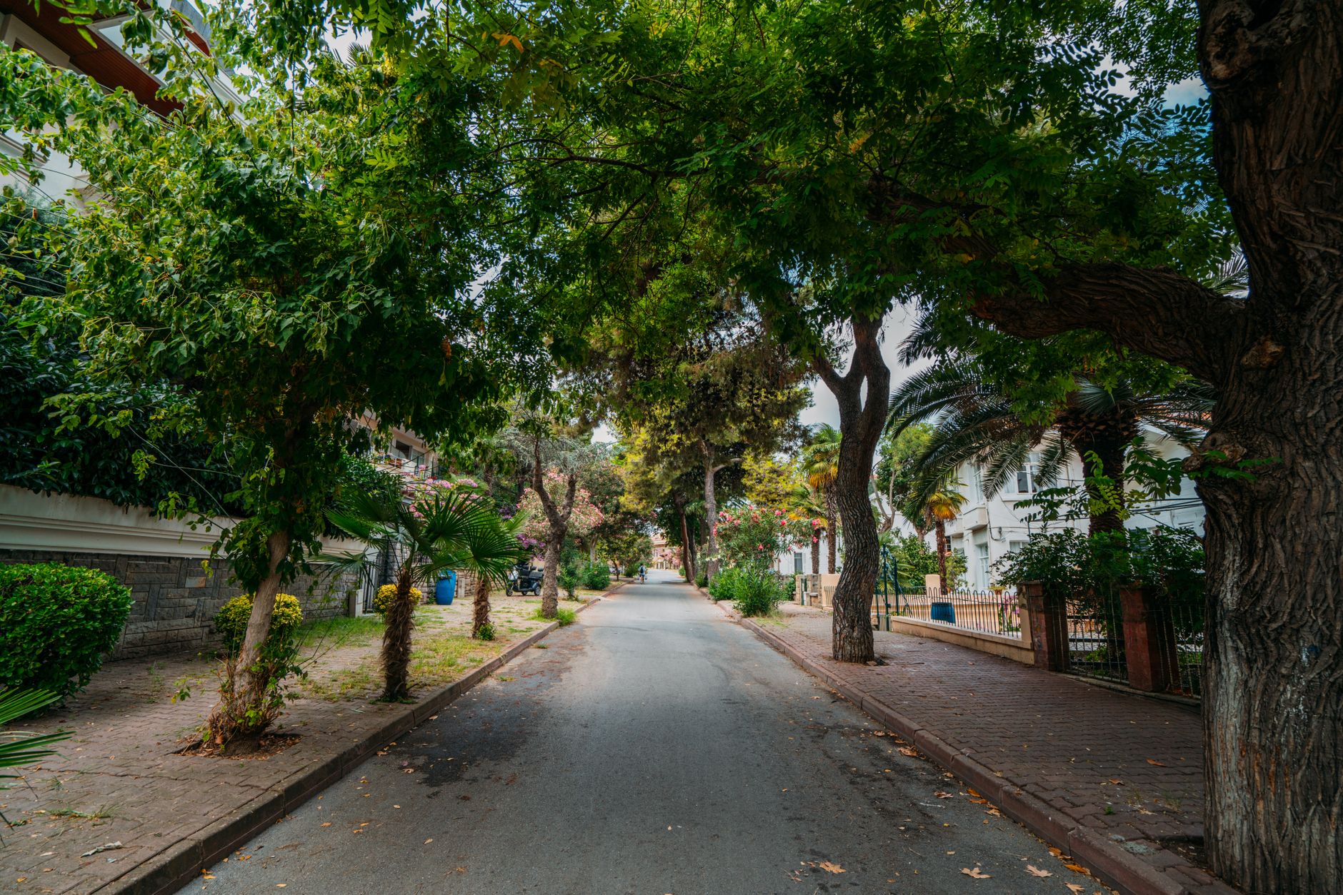 Average Home Price in Pasadena — What to Expect in 2026 Average Home Price in Pasadena — What to Expect in 2026