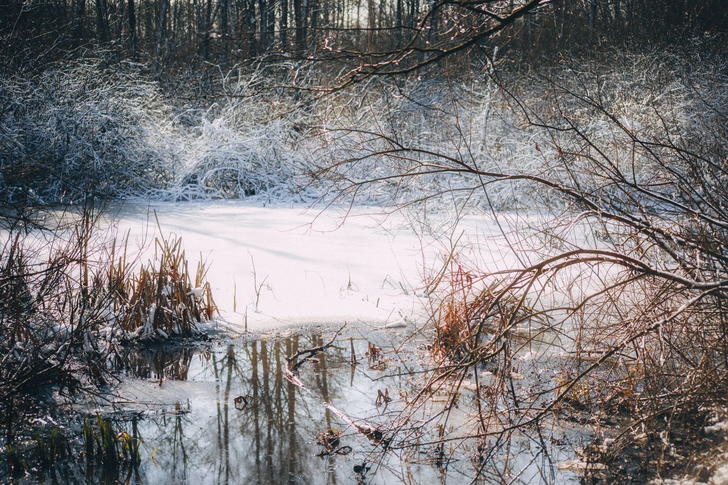 January Scene Photos, Download The BEST Free January Scene Stock Photos ...