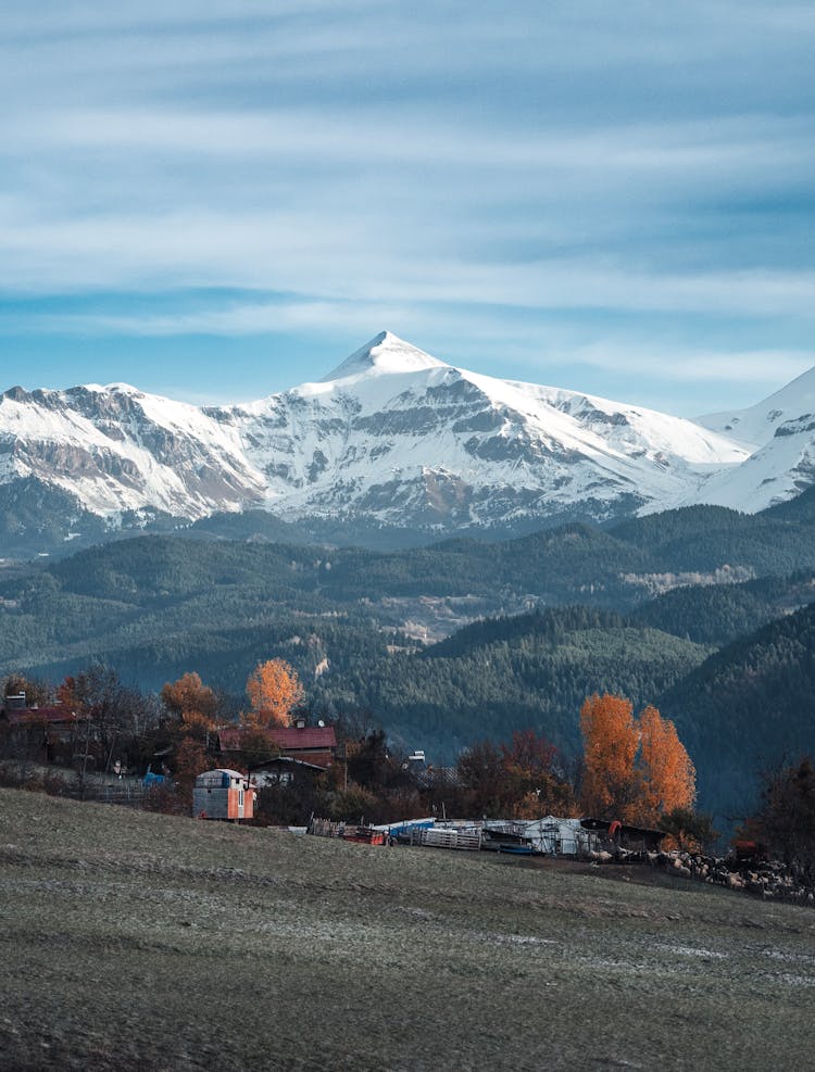 Landscape With Snowcapped Mountain And Autumn Trees