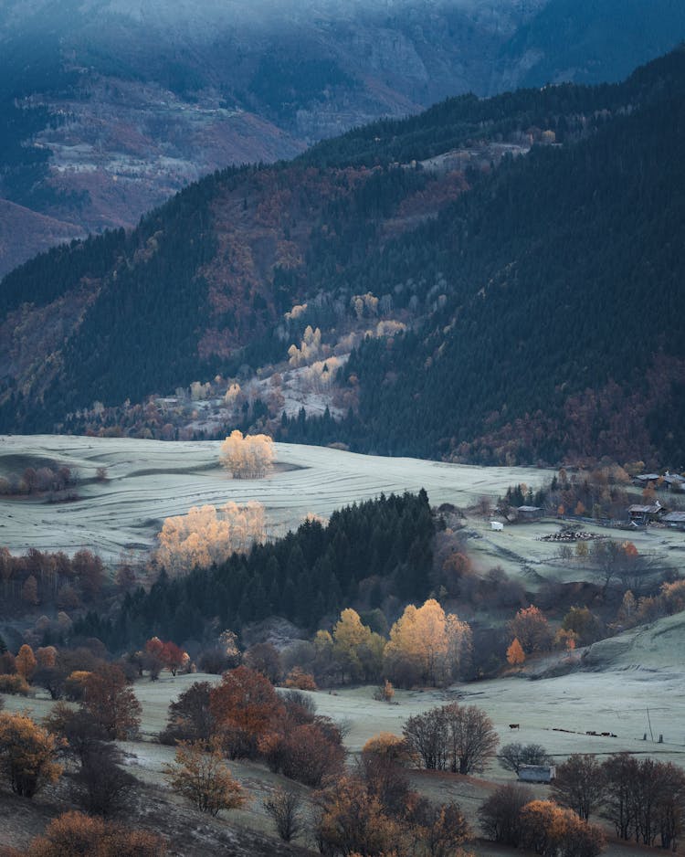 Mountain Valley With Frost And Autumn Trees