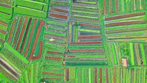 Aerial View Photography of Field