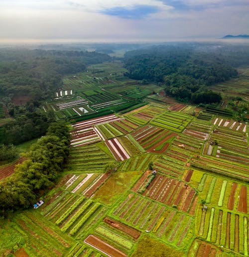 Aerial Photography of Green Fields and Trees Under White Clouds and Blue Sky