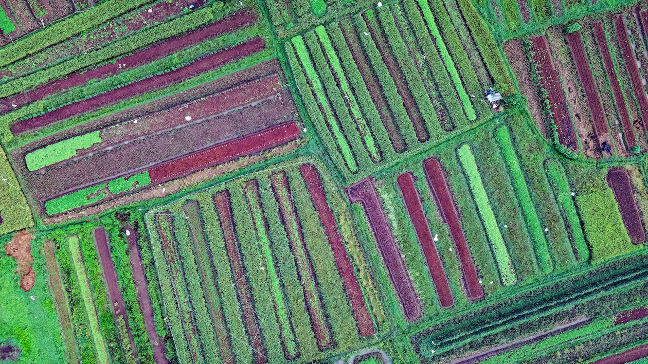 Aerial Photography of Farm