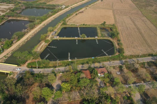 Aerial shot of agricultural landscape in Phetchaburi, Thailand, featuring ponds and fields.