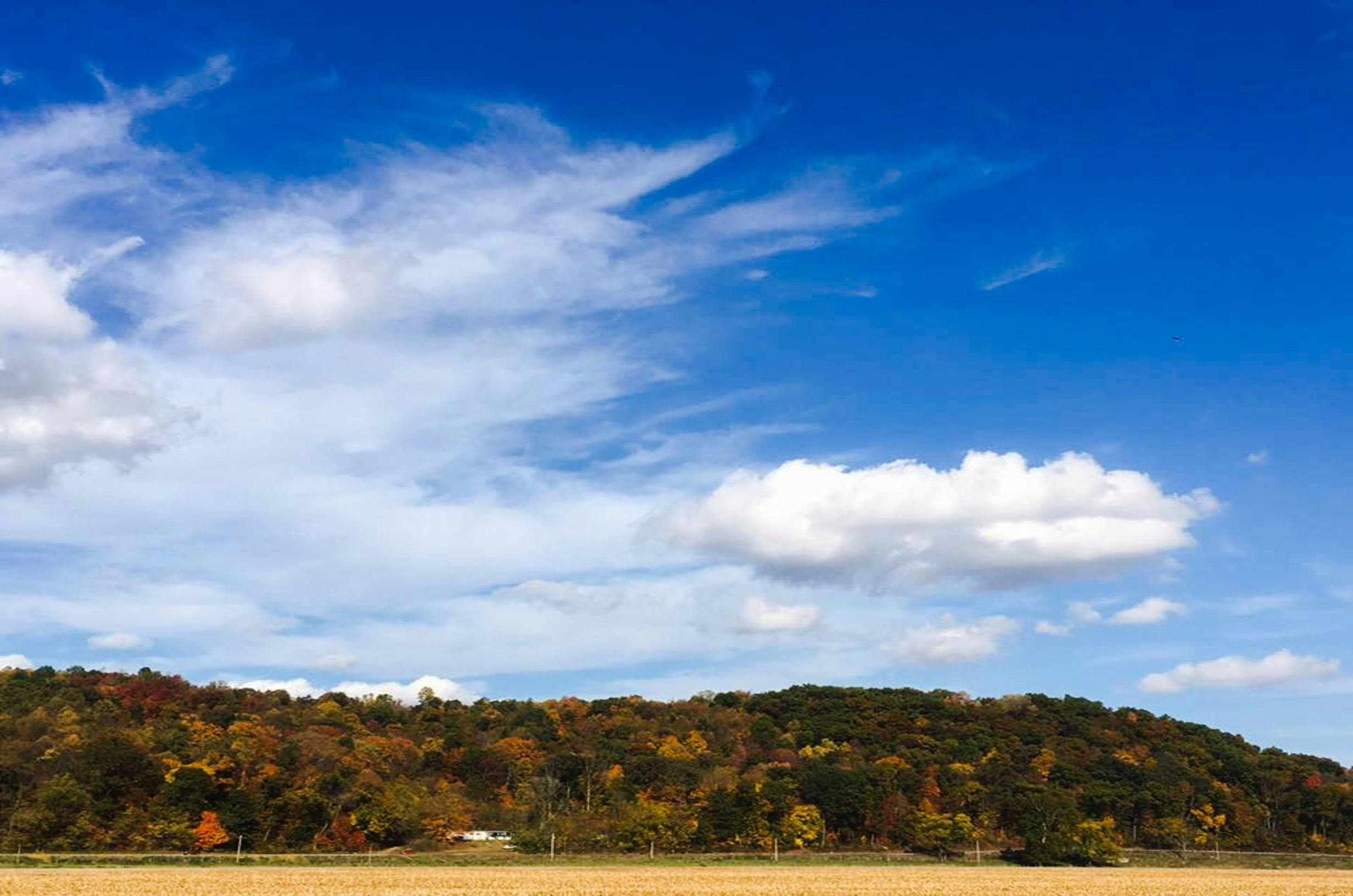 Free stock photo of blu sky, fall landscape, trees