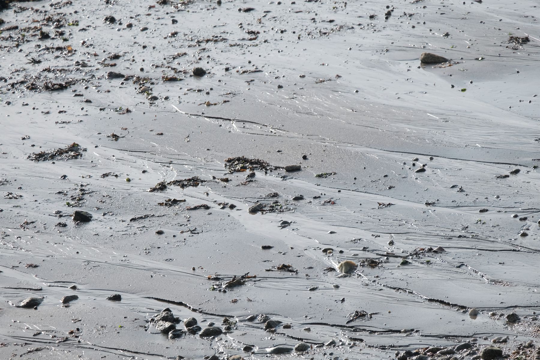 Nat strandzand met getijdenpatronen aan de Zeeuwse kust