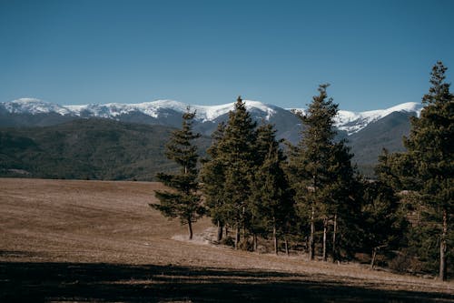 山, 景觀, 森林 的 免费素材图片