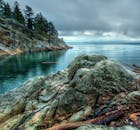 Calm Sea Beside Rock Formation With Trees Nature Photography