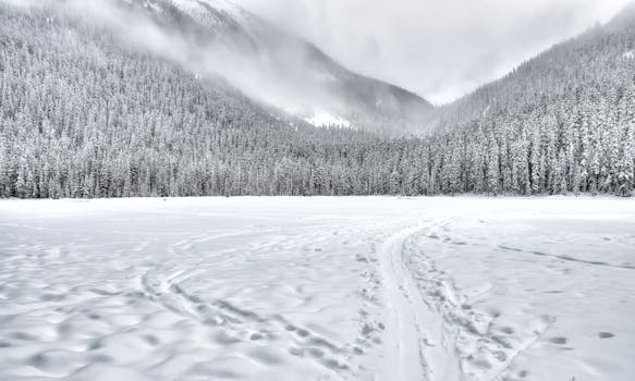 Montagna in inverno