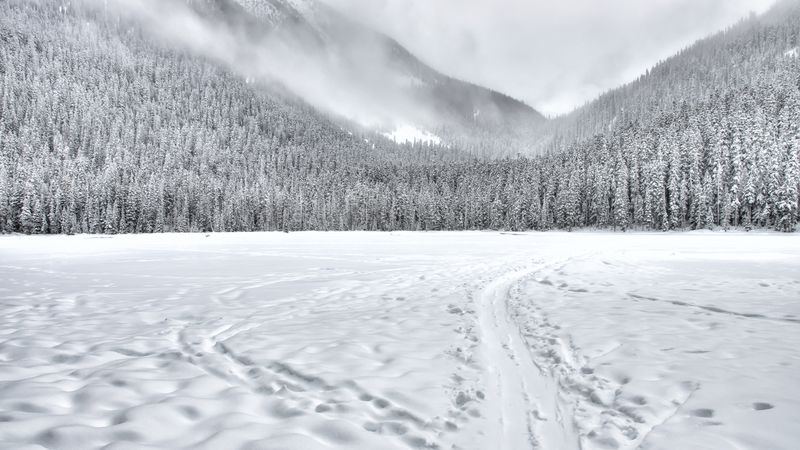 Regenwetter bei einer Outdoor-Veranstaltung – Plan B nötig
