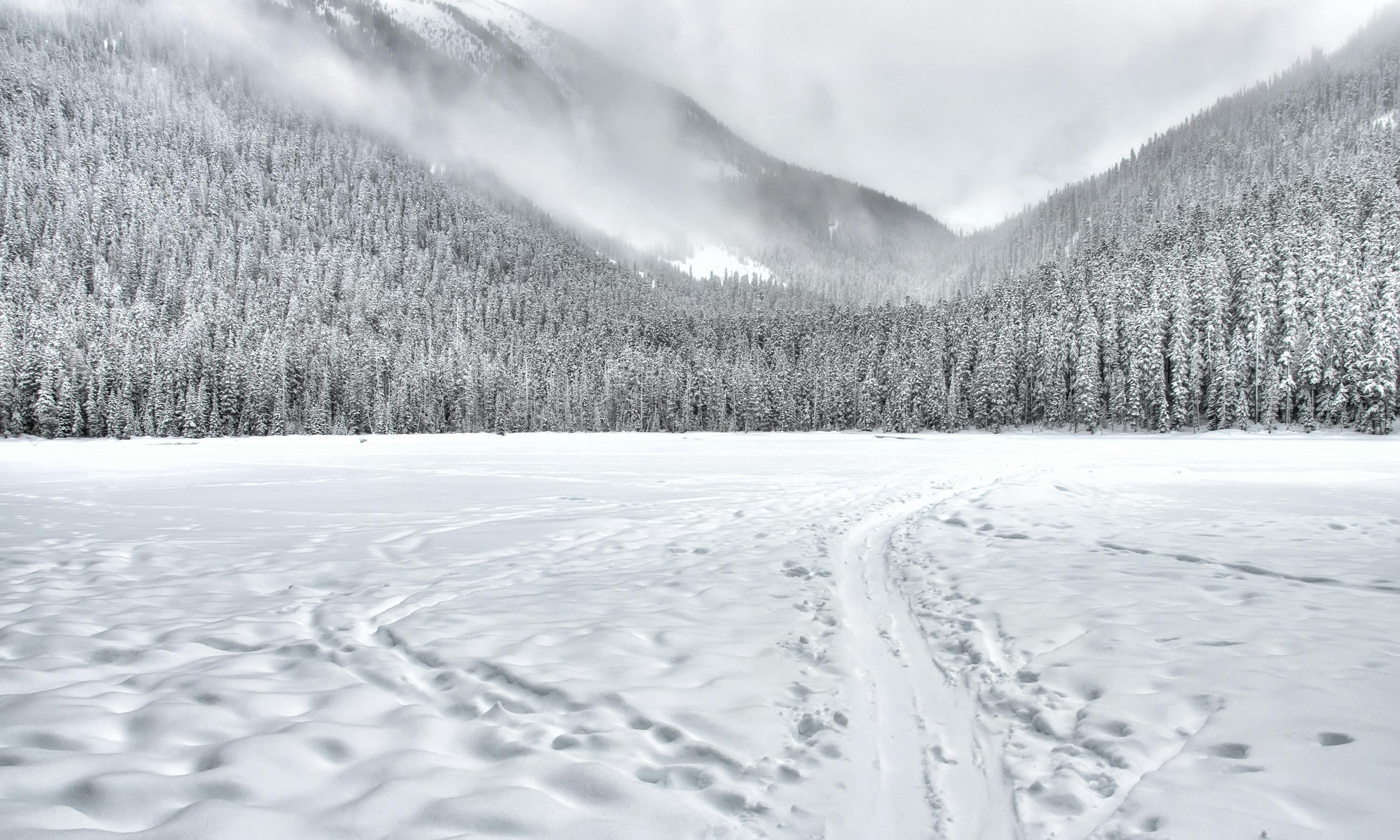 50.000+ Schnee Bilder und Fotos · Kostenlos Downloaden · Pexels
