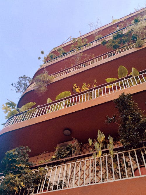 Бесплатное стоковое фото с Балкон, дневной свет, заводы