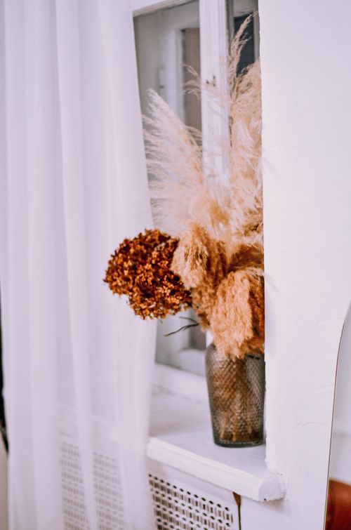 Free Elegant dried flowers in a vase on a windowsill with light curtains. Stock Photo