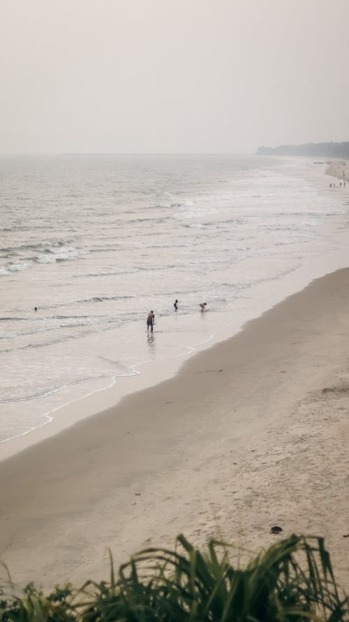 ビーチ, 人, 地平線の無料の写真素材