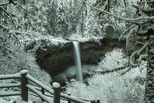 Foto d'estoc gratuïta de bosc, cascada, fluint