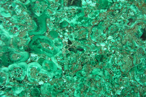 Gratis stockfoto met detailopname, graniet, groen