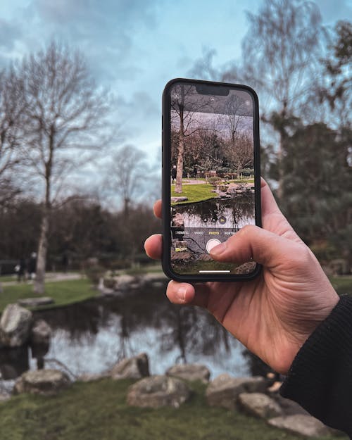 Základová fotografie zdarma na téma centrální londýn, krásná příroda, lesní příroda