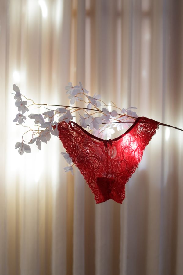Delicate red lace lingerie in soft natural light