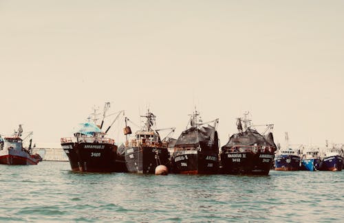 Trawlers Moored in a Harbor