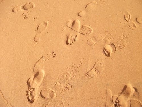Footprints on Wet Sand on the Beach 