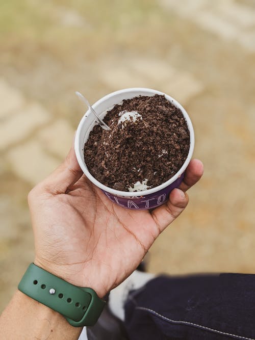 Fotobanka s bezplatnými fotkami na tému gelato, ice arena, zmrzlina