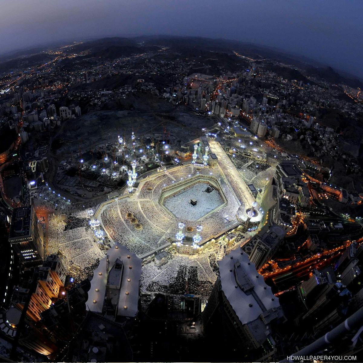 Finished grain bowl with vegetables, sauce, and seeds arranged artfully