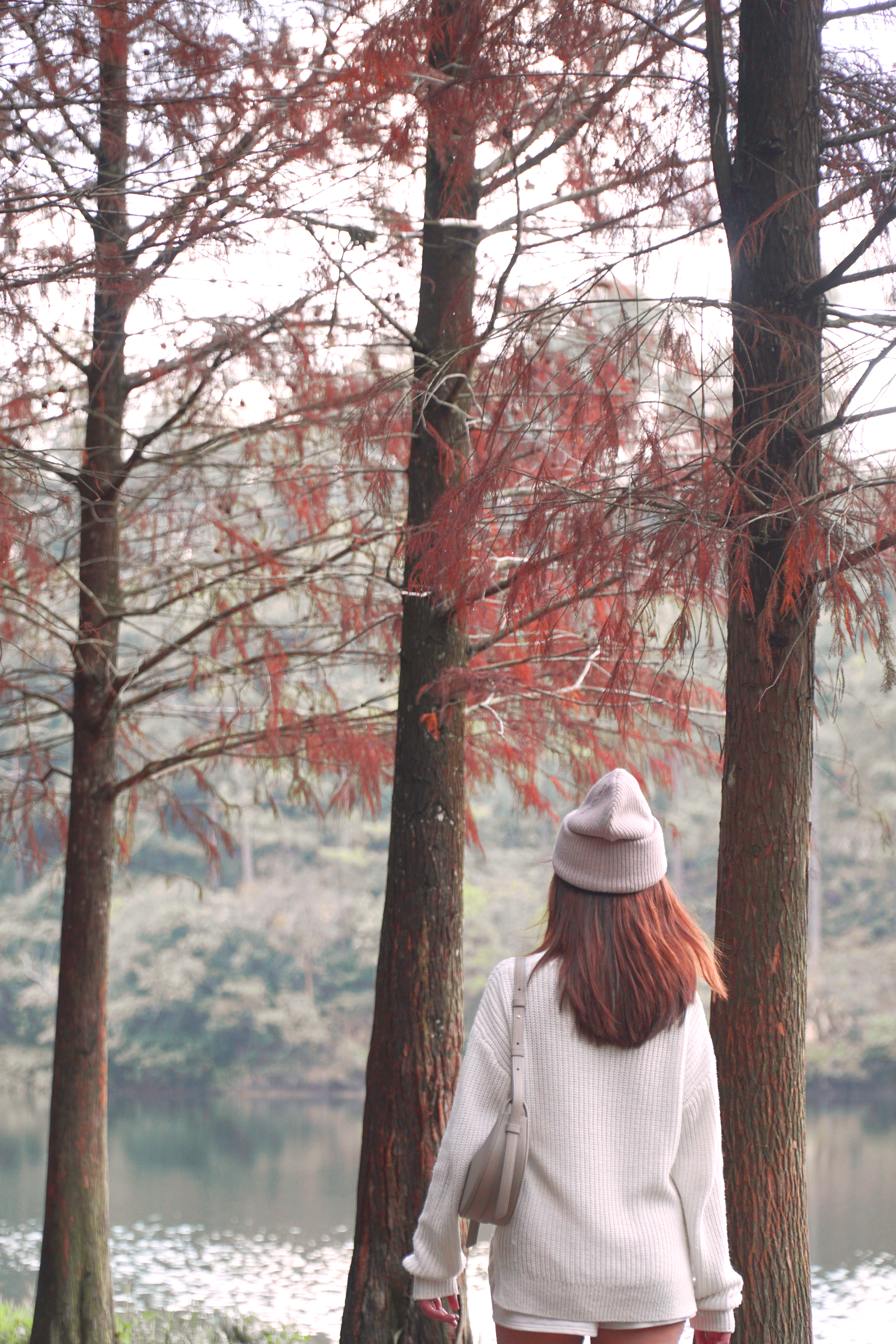 Back View of a Woman Walking in a Park · Free Stock Photo