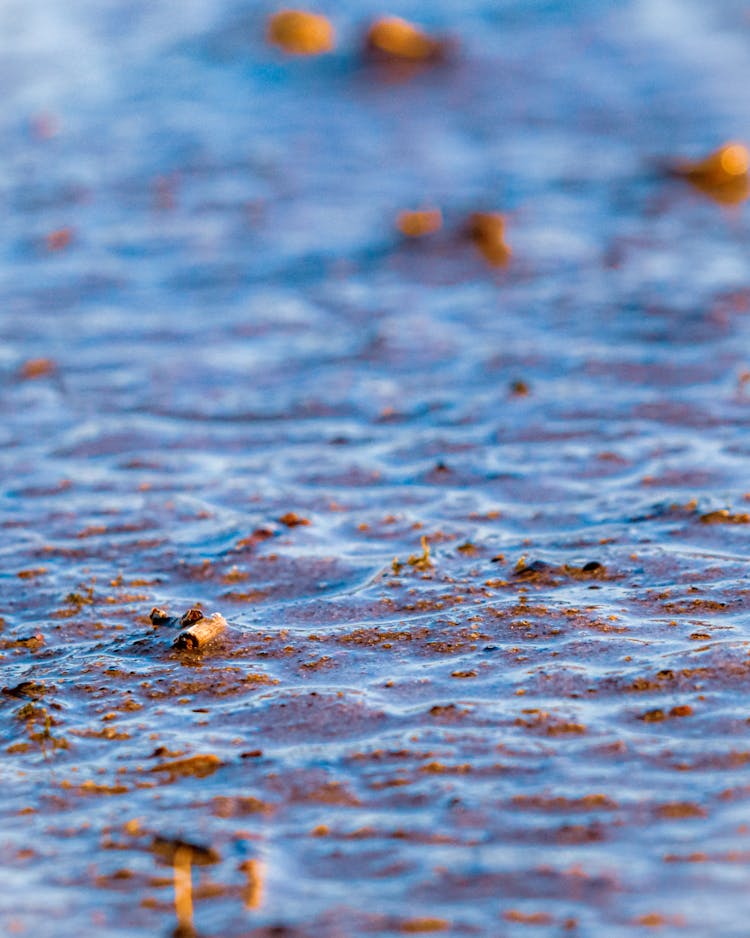 Wet Sand On Ground