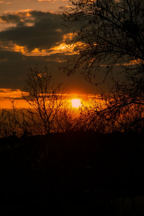 Free A stunning sunset view with dramatic clouds and silhouetted trees. Stock Photo