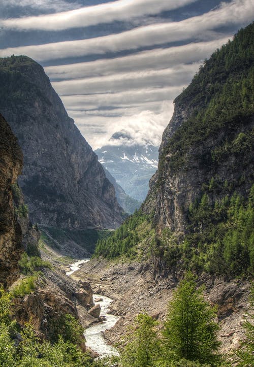 Green Trees Covered Mountains Landscape Photography