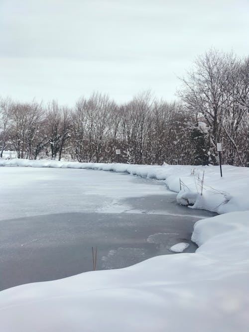 Frozen Lake in a Park 