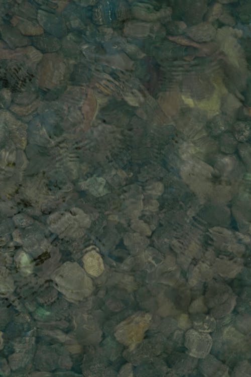 Základová fotografie zdarma na téma jezero, kameny, mokrý