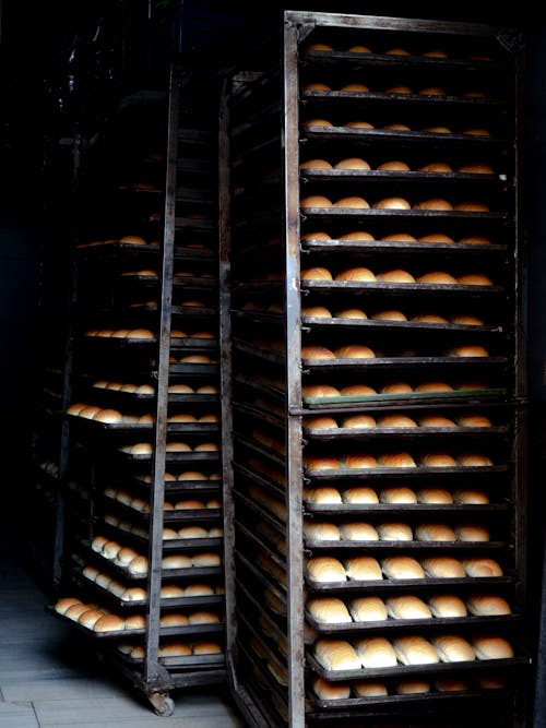 Free Loaves of Bread in a Bakery  Stock Photo