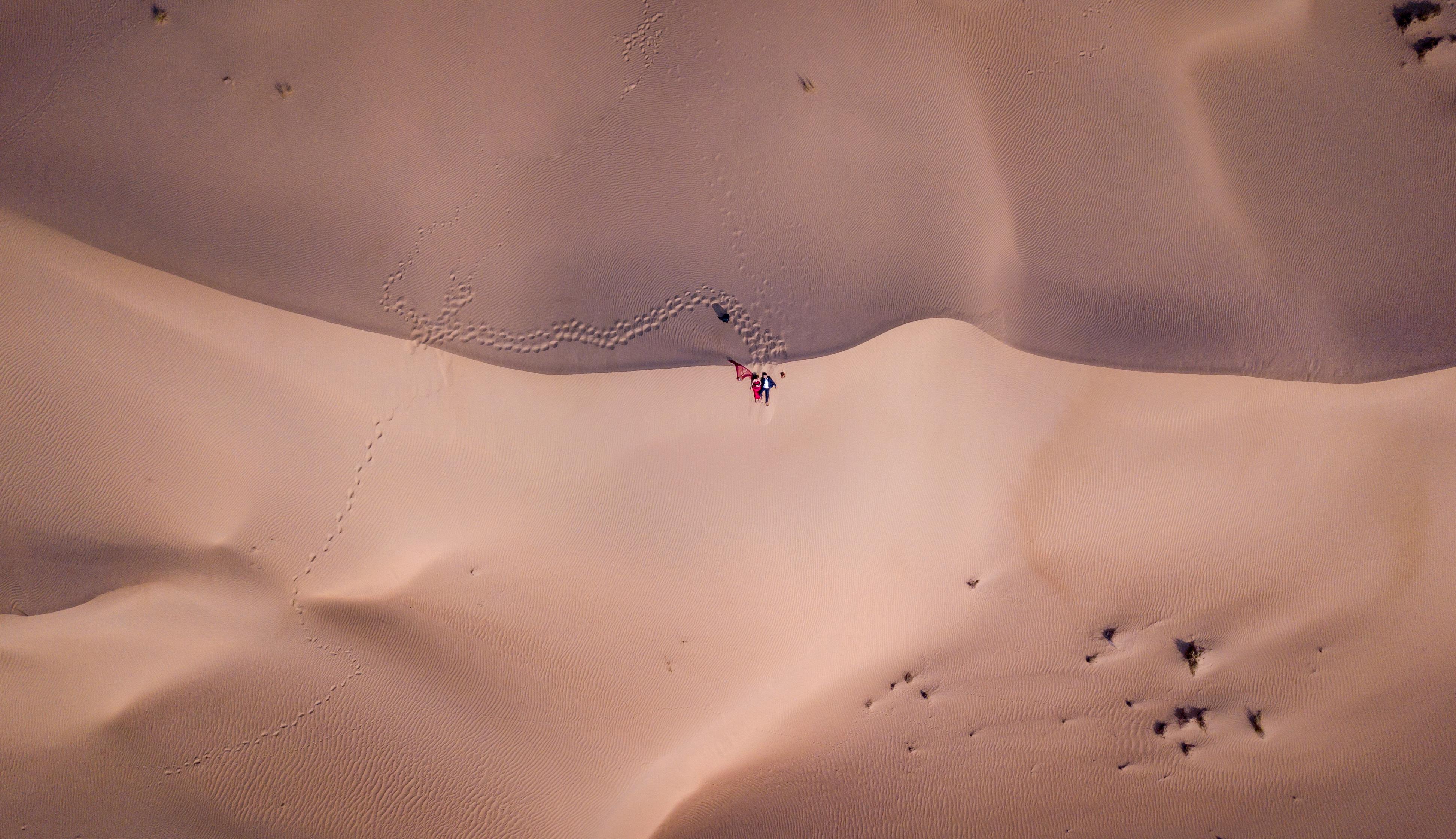 picturesque sandy dunes in desert terrain